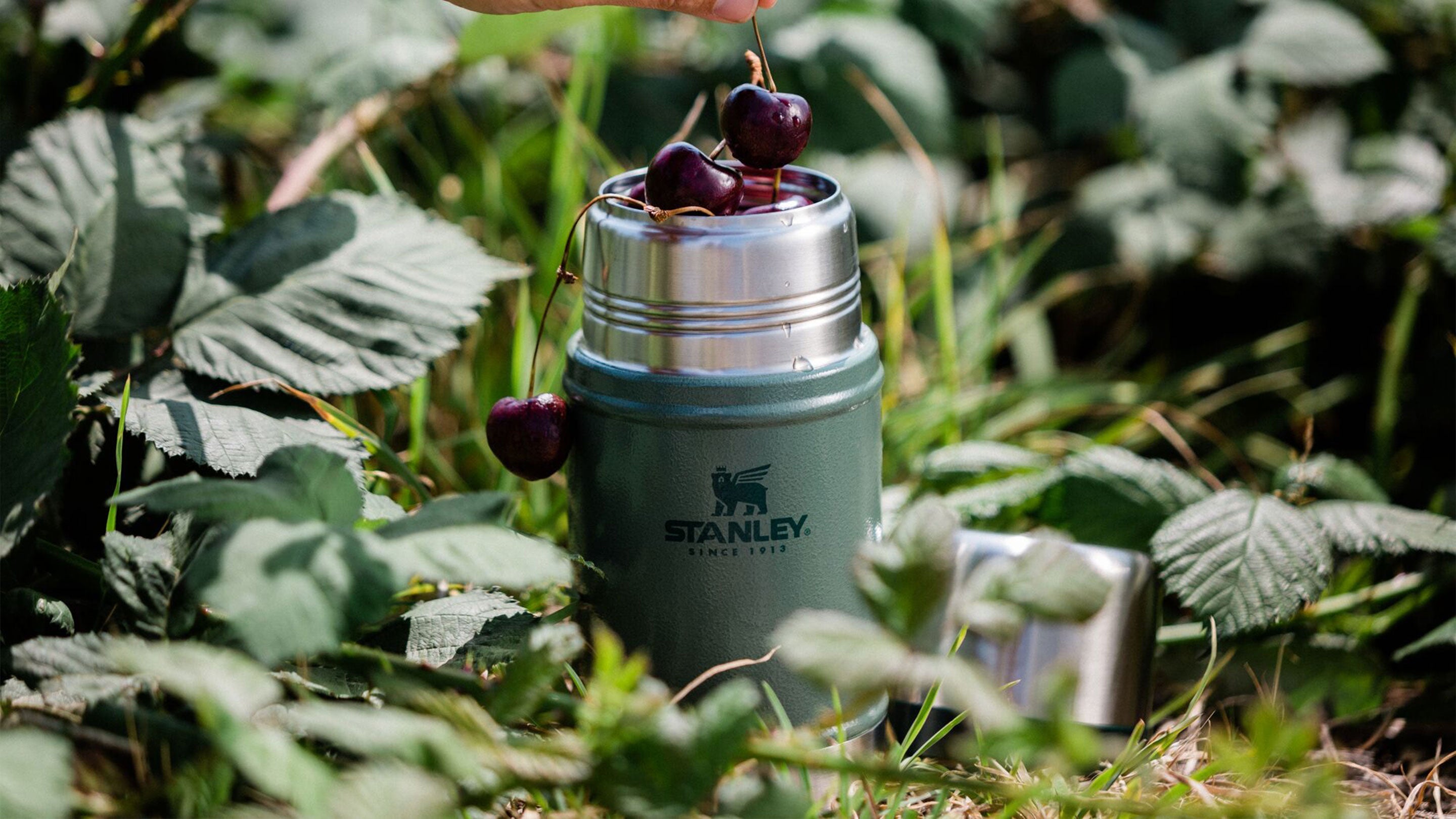 Keep Cool With Chilled Summertime Meals