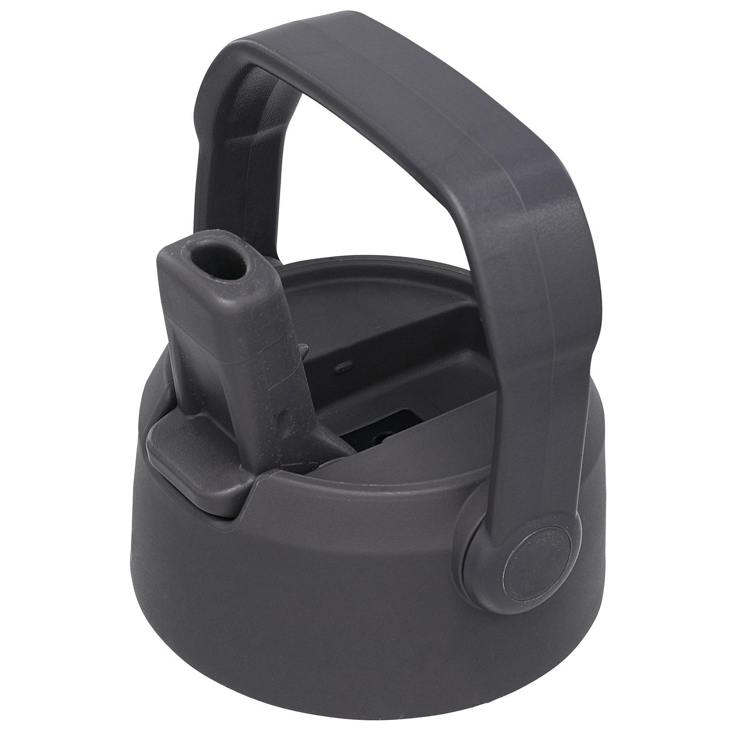 GO Flip Straw Water Bottle Lid