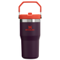 Stanley The IceFlow FlipStraw Tumbler Water Bottle 20 OZ In Plum Purple