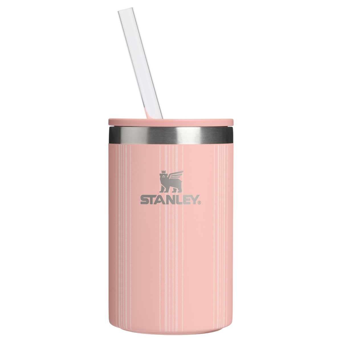 The Everyday Can Cooler Cup