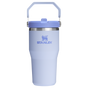 Stanley 20 OZ IceFlow Stainless Steel Water Bottle In Dew Drop Purple n with Flip Straw